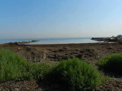 Birdwatching nel Parco di Lama Balice